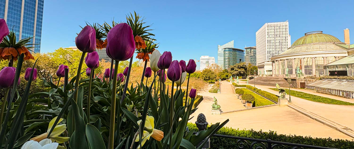 Botanischer Garten Brüssel mit terrassenförmig angelegten Beeten, vielfältiger Pflanzenwelt und der markanten Glaskuppel des Kulturzentrums „Le Botanique“ im Hintergrund